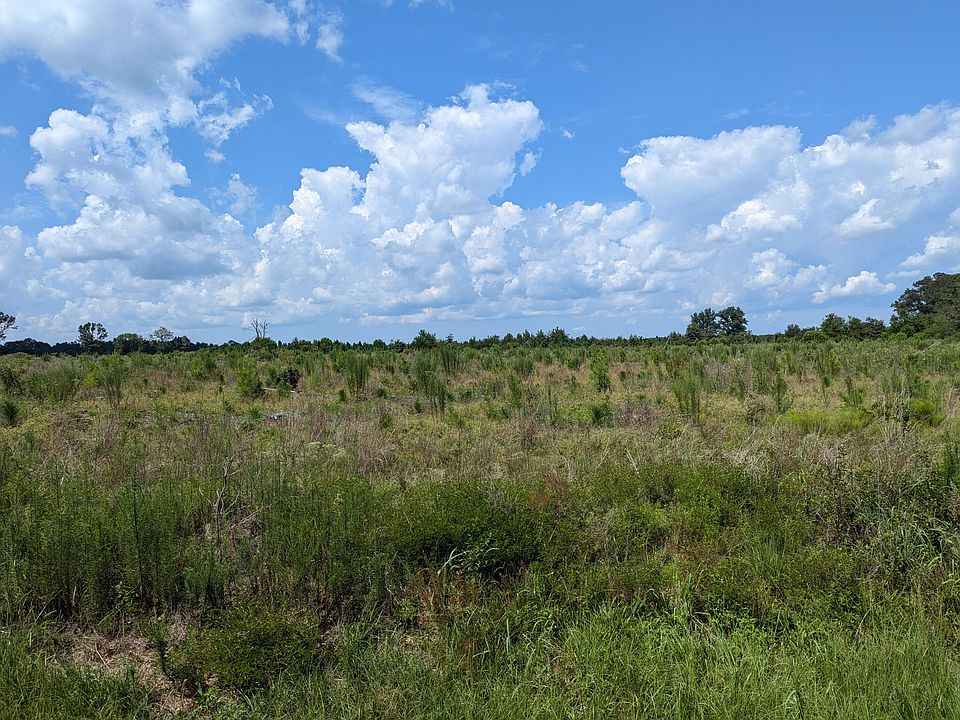 2nd image of 0 Hollow Creek Rd