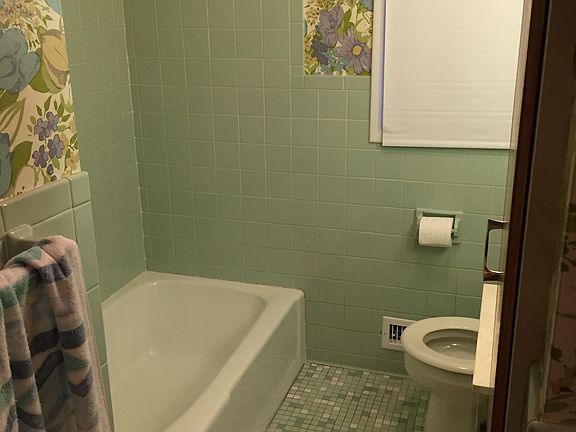 main bath tub/shower