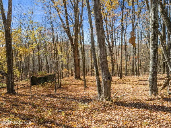 L3.9 McMurdy Hill Road, Kortright, NY 13842