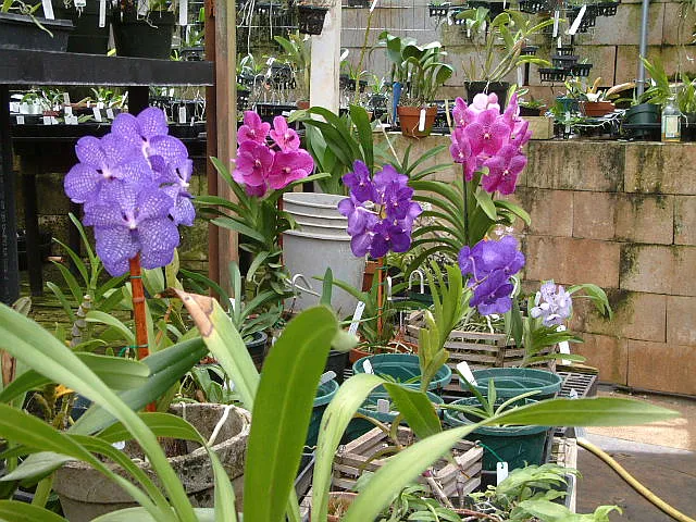 Kanaele Rd — Photo 9