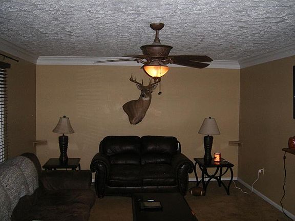 5th image of 103 Rosewood Ln