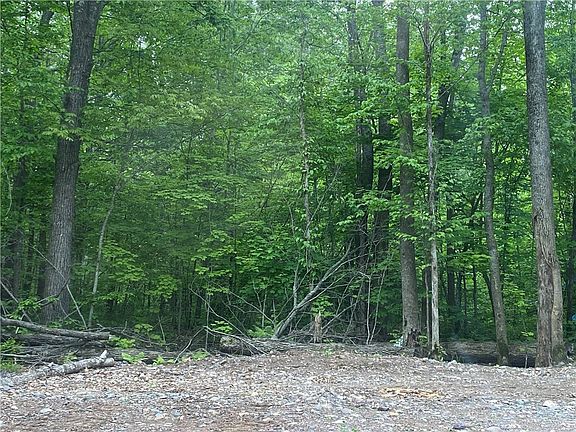 2nd image of 13356 Deer Lake Road