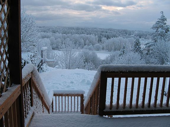 And, a decent view out the back.. better in the sun!