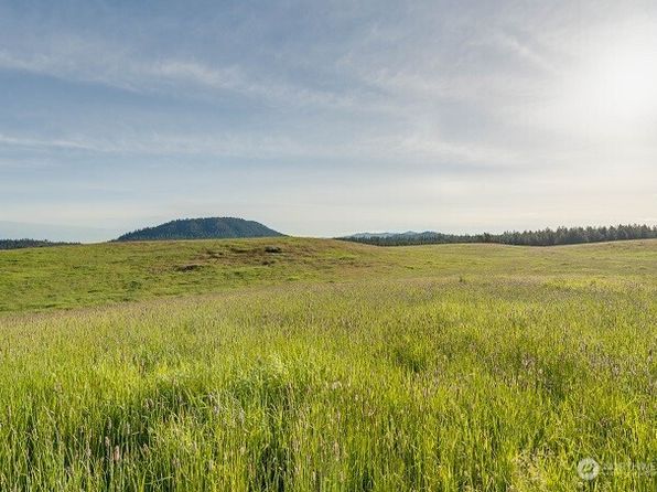3737 C S Jumpoff Road Lot 4, Valley, WA 99181