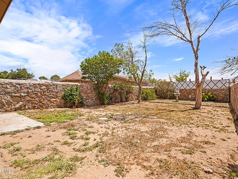 10720 Chert St — Photo 29