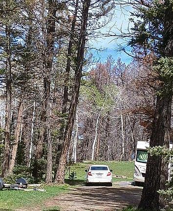 2nd image of 105 Aspen Trail