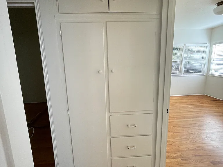 Hall closet built-in