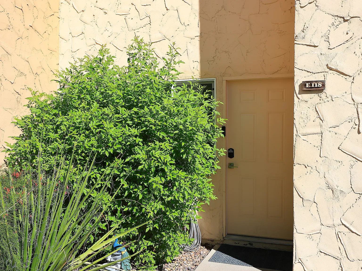 2 bed, 1.5 bath, 1023 sqft, $2,200 — Photo 2