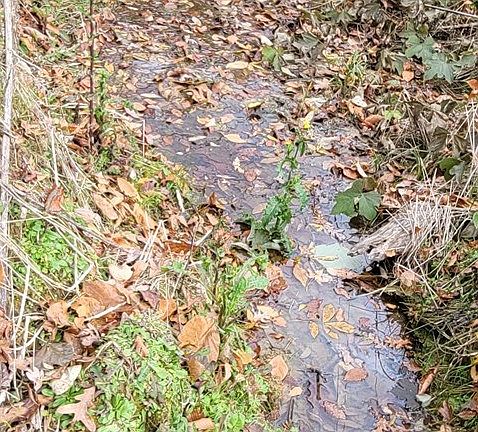 5th image of 4 Bear Hollow Way Lot 4