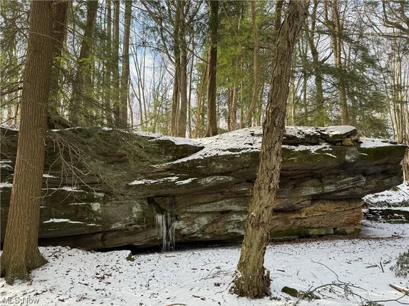 Moseley Rd, Thompson, OH 44086