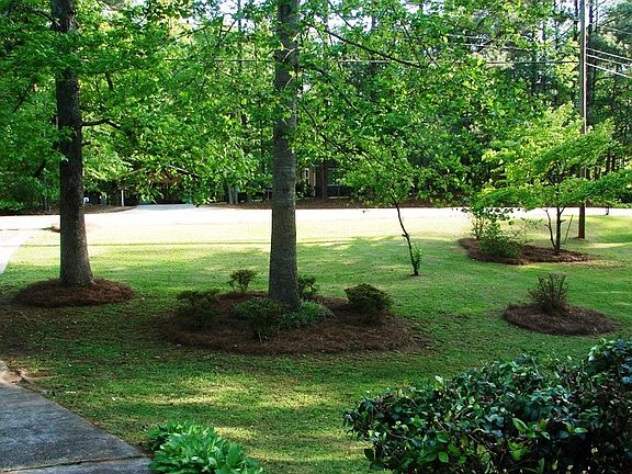 Front yard