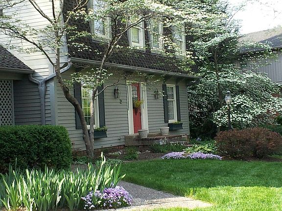 Birds and butterflies