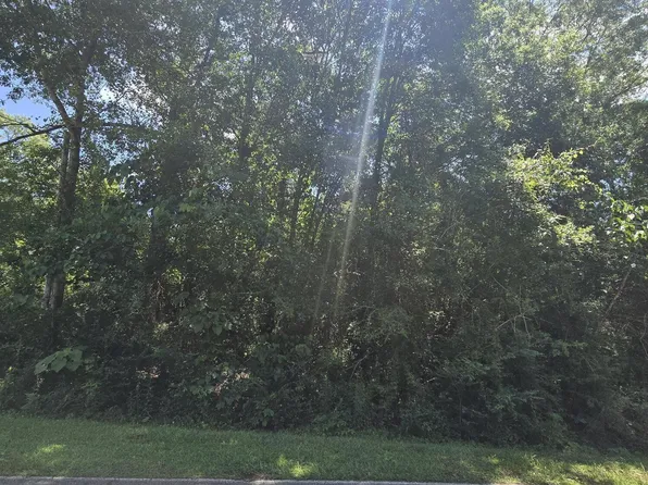 227 E Sunnybrook Rd Lot 1316, Carriere, MS 39426