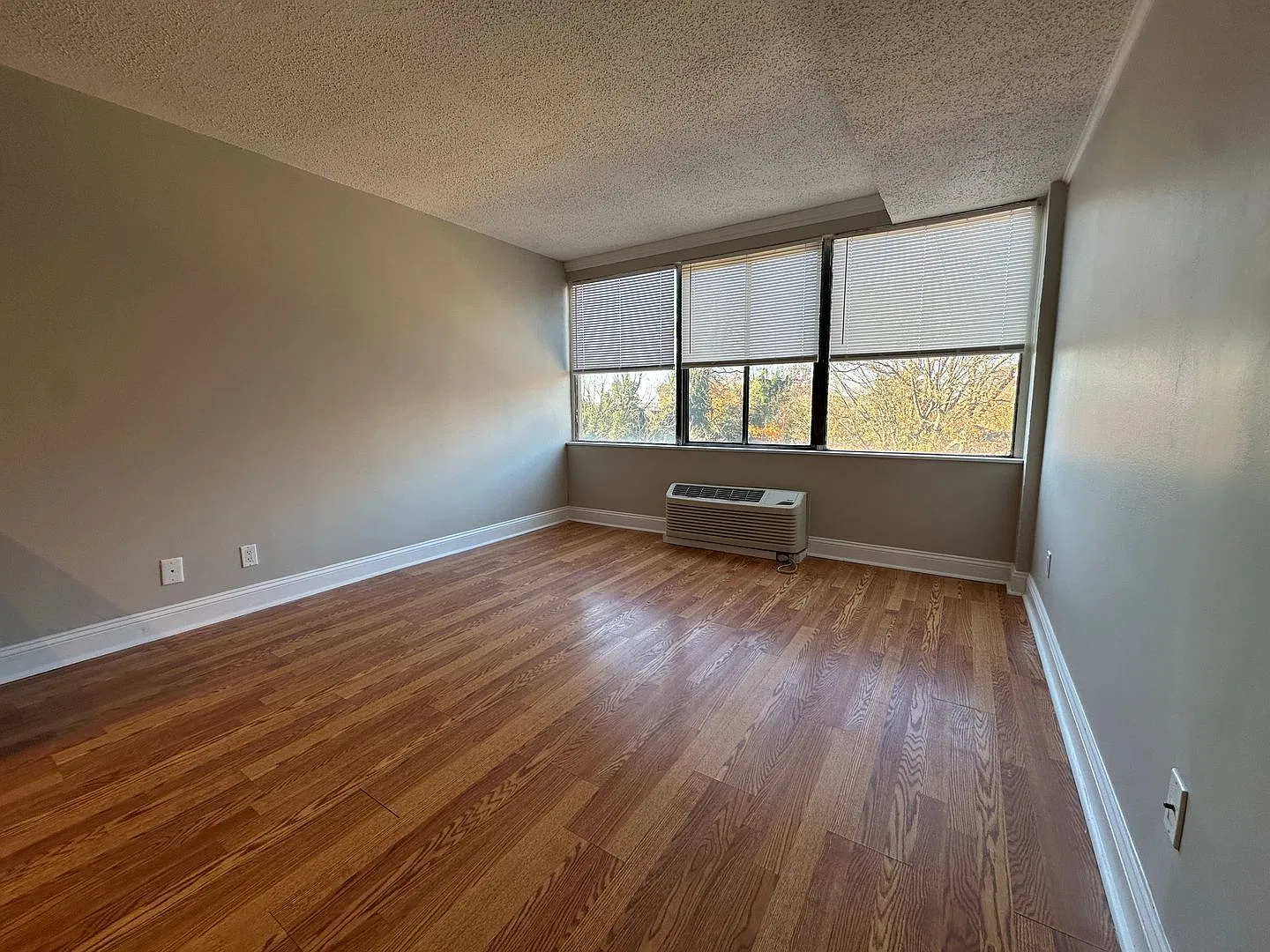 University Towers- Studio Apartment #418 Available FALL 2027 @ $1200/month — Photo 4
