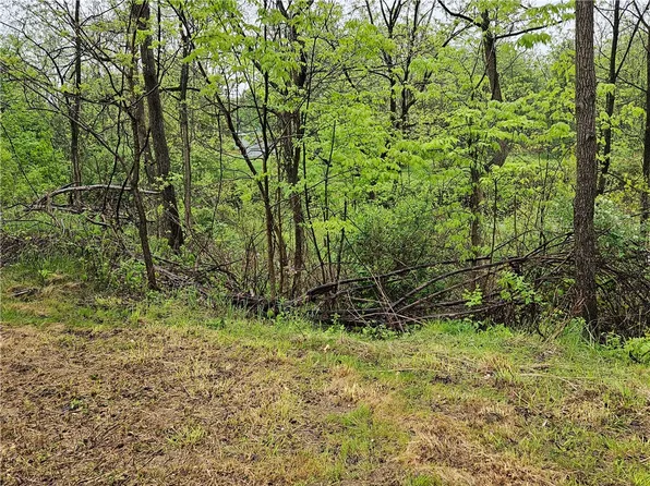 284 Berwick Tpke #6, Wellsburg, NY 14894