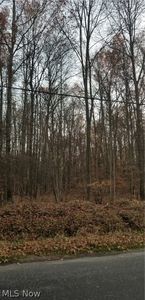 Housel Craft Rd, Bristolville, OH, 44402