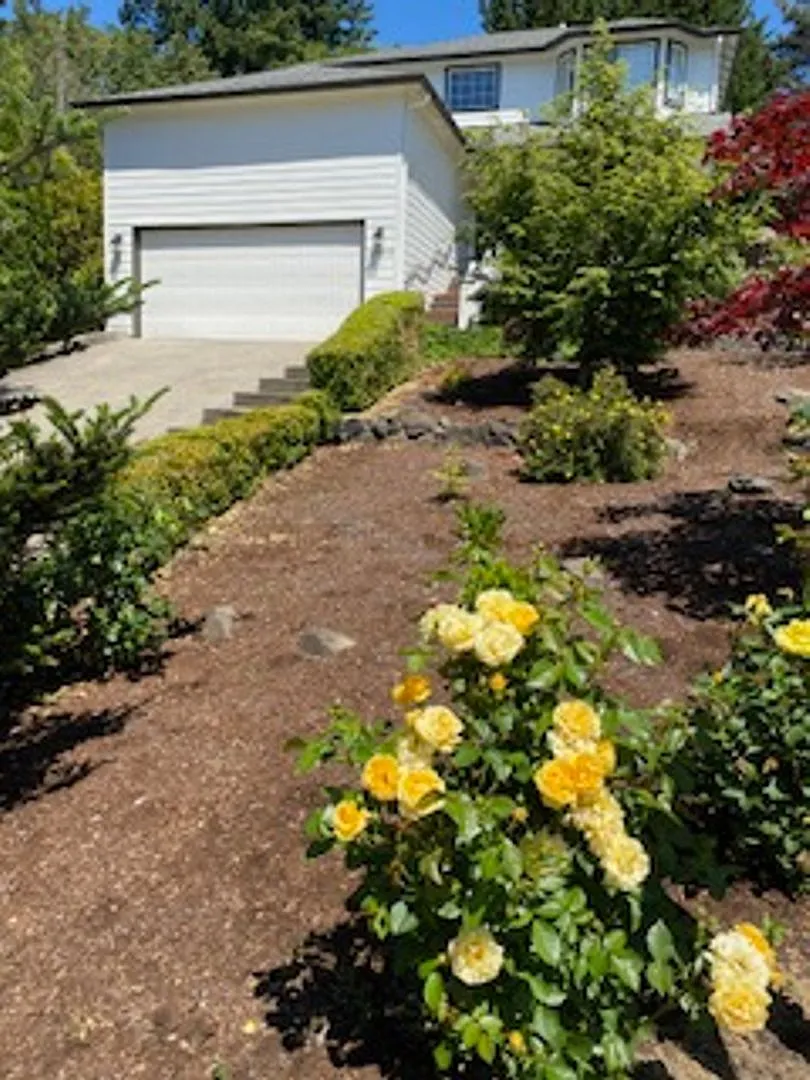 Coming Soon!! Beautiful Two Story Home. 9' Ceilings, Remodeled & More! — Photo 4