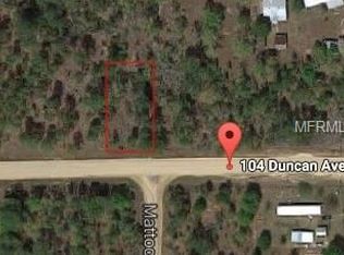 102 Donkin Ave, Interlachen, FL 32148