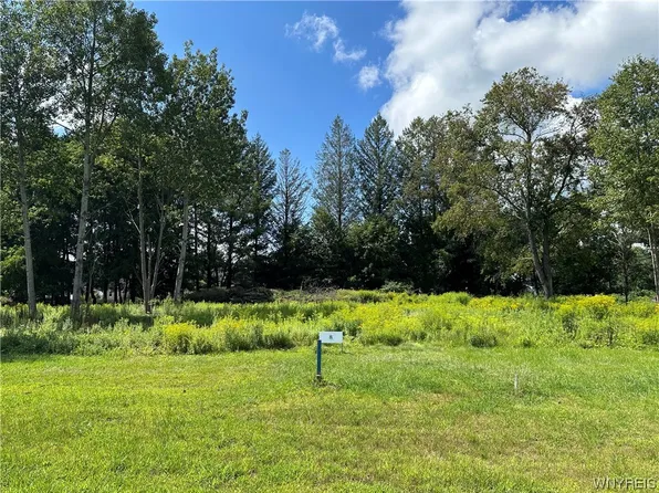 8 Tanglewood Development, Allegany, NY 14706