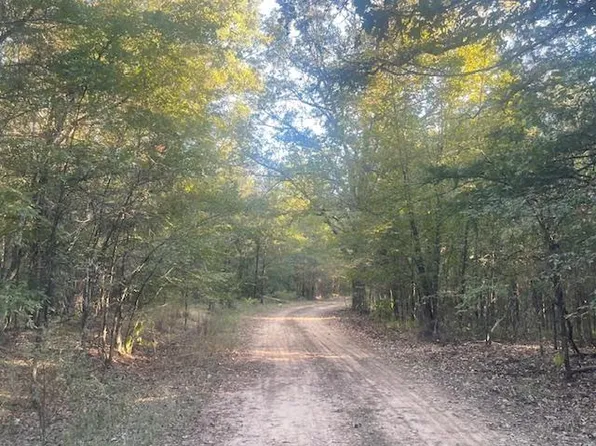 County Road 2880, Mineola, TX 75773