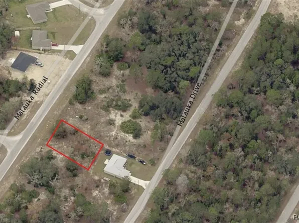 0 Malauka Radl, Ocklawaha, FL 32179