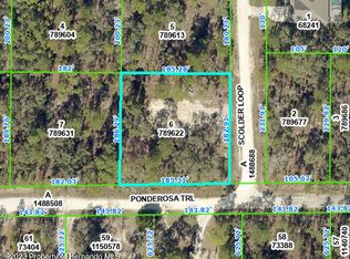 0 Scolder Loop, Brooksville, FL 34614