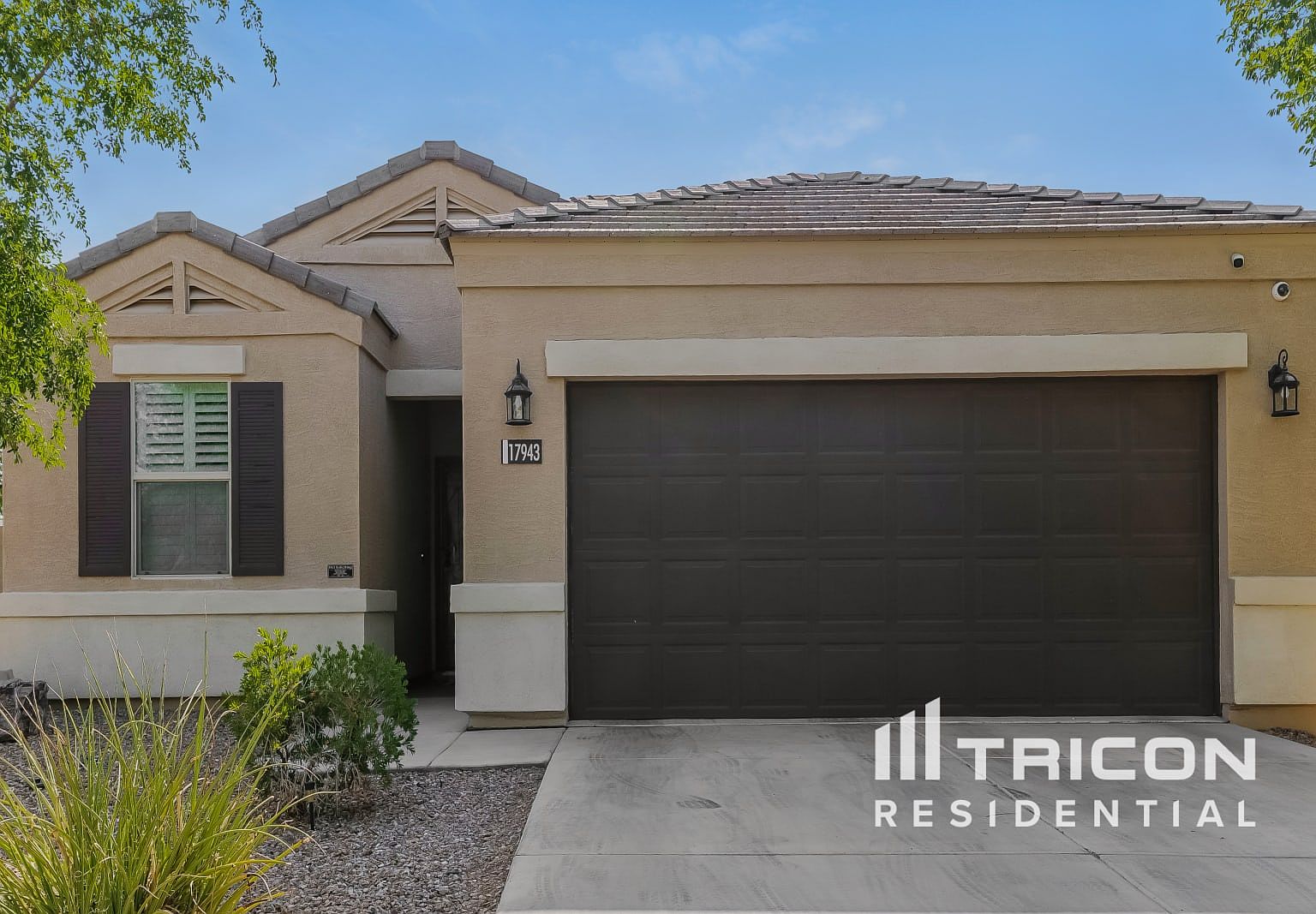PI PI♡ 17943 N Pietra Rd, Maricopa, AZ 85138 | Zillow