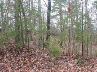 63 Twin City Way LOT 63, Pigeon Forge, TN 37863