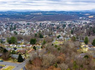 Tbd Laurel Ave, Buena Vista, VA 24416