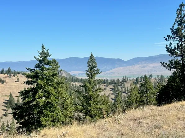 PARCEL 1A Dry Gulch Rd, Missoula, MT 59804