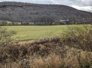 0 Irish Hill Rd PARCEL B, Delhi, NY 13753