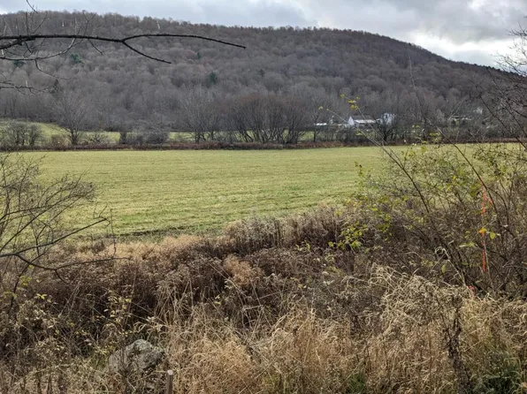 0 Irish Hill Rd Parcel B, Delhi, NY 13753