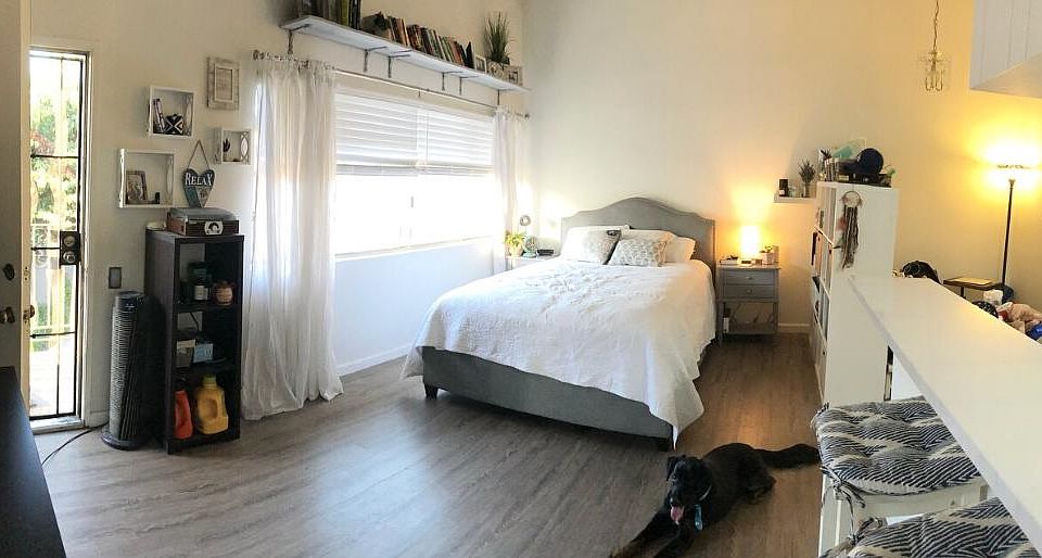 Large, sunny studio with lofted ceilings