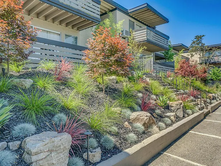 Vista Terrace — Photo 5