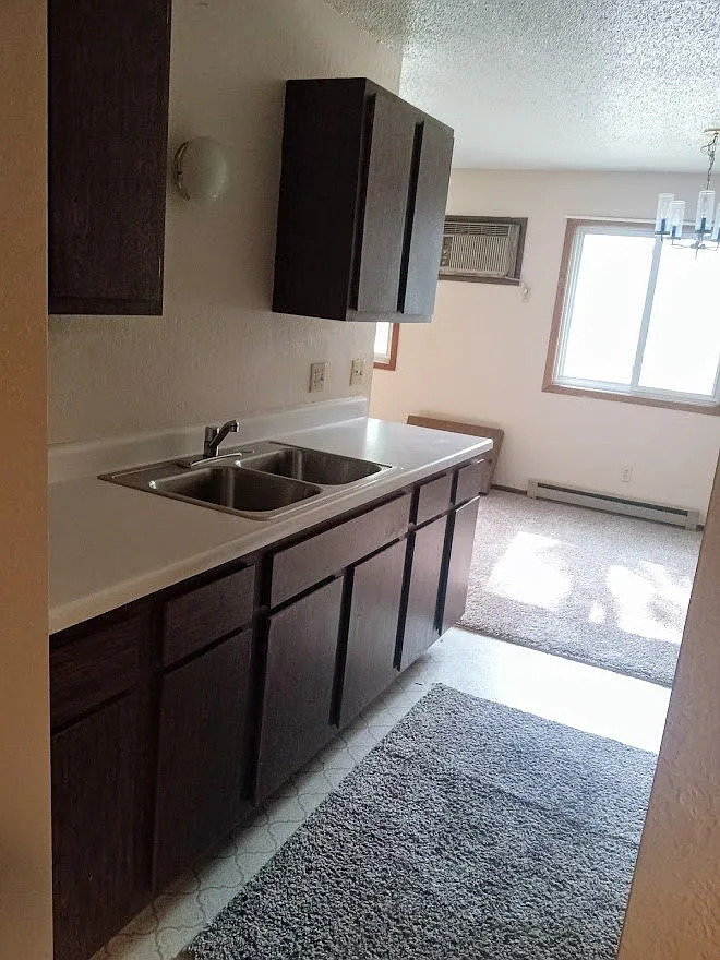 2 bed, 800 sqft, $800 — Photo 3