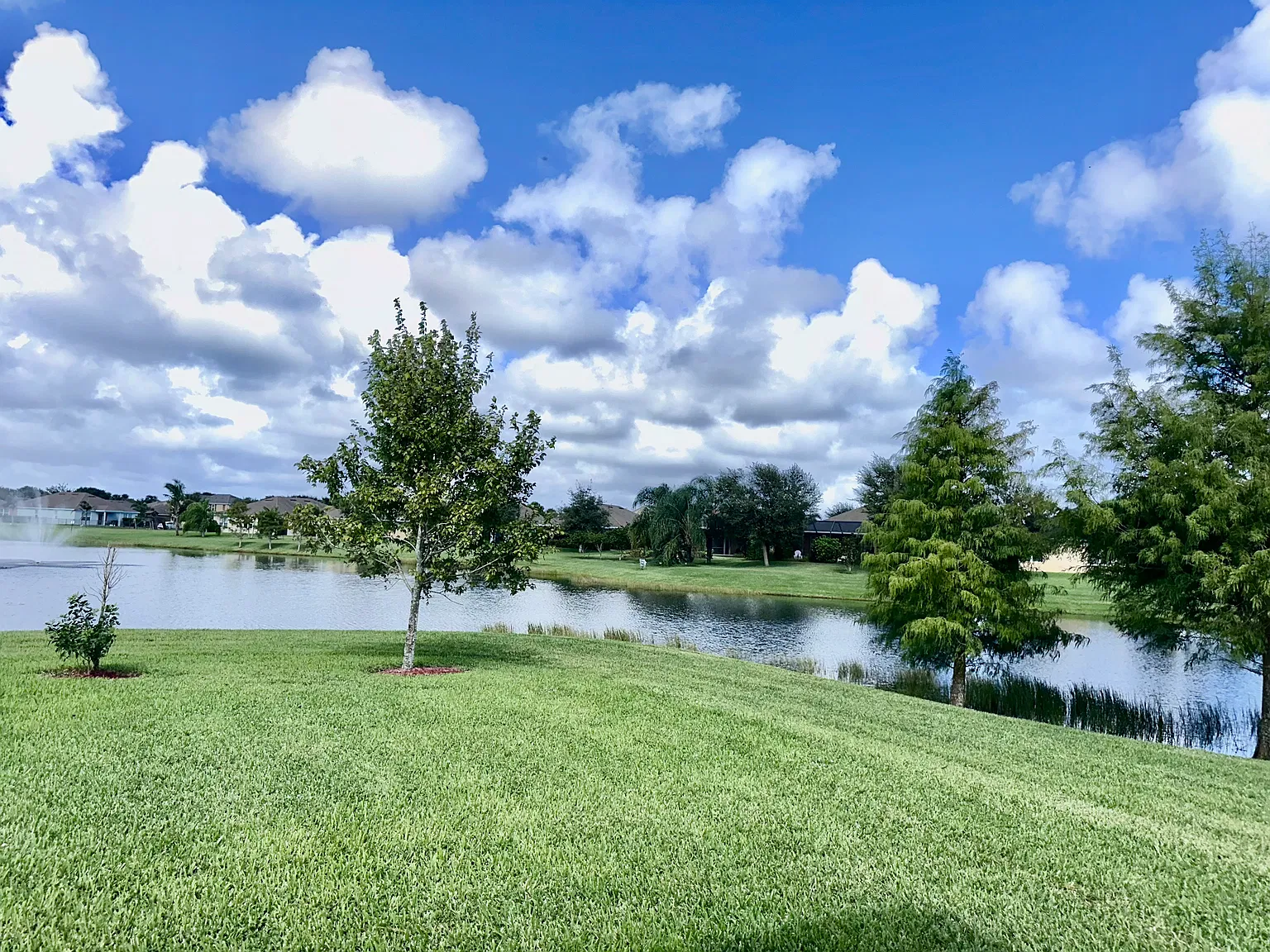3 bed, 1756 sqft, $2,200 — Photo 3