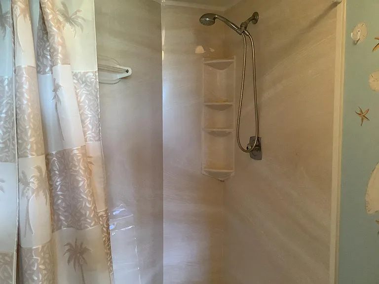 Master bathroom walk in shower