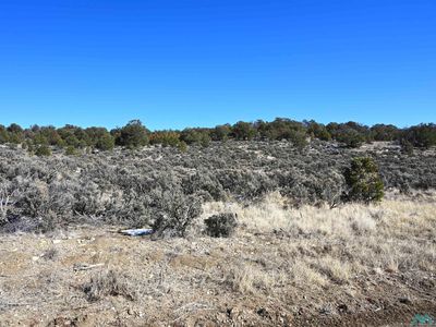 0 Vereda De Caballos, Tierra Amarilla, NM, 87575