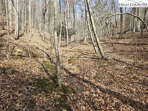 5th image of TBD (Lots 42 & 43) Happy Ridge Road