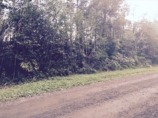 2nd image of 13th Ave Lot 1243