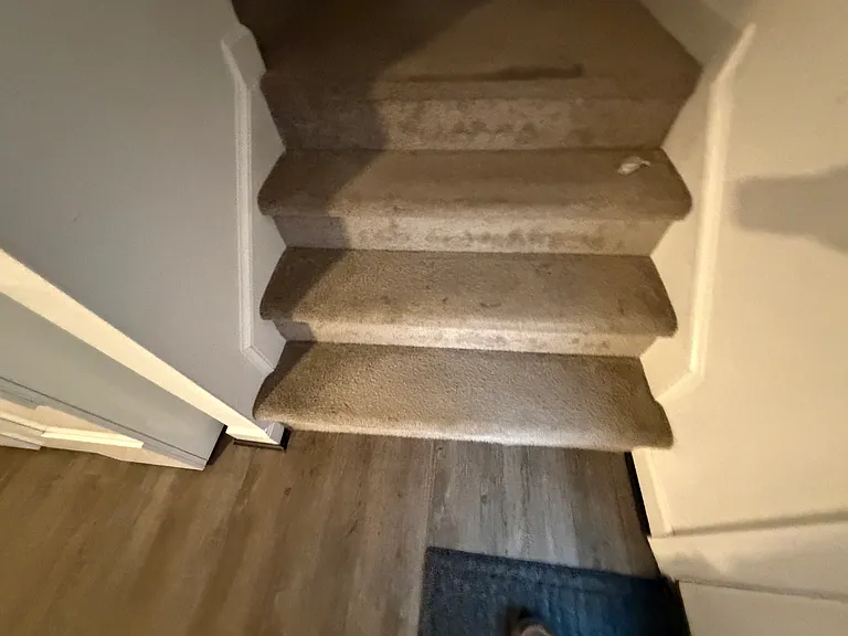 1257 Jadens Way — Photo 53