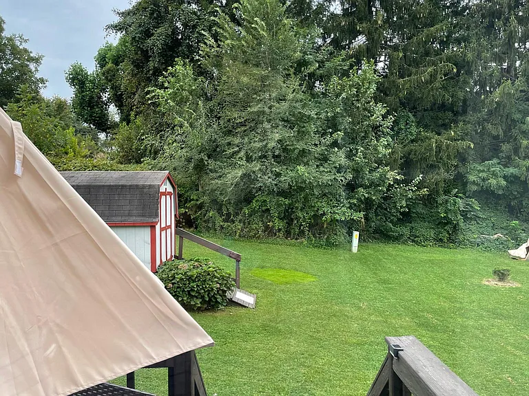 Rear deck, shed, and yard