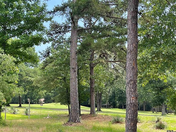 2nd image of LOT-526R Golfing Green Cv