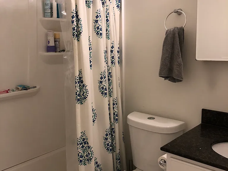 121 Webster Ave #1 — Photo 6