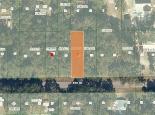 1024 Elm St, Welaka, FL 32193