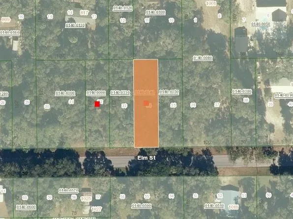 1024 ELM Street, Welaka, FL 32193