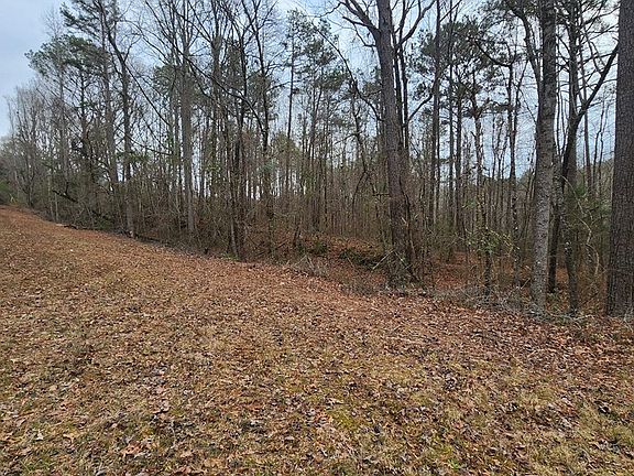 4th image of 0 Monument Rd