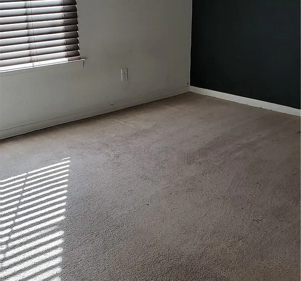 29020 Mesa Crest Way — Photo 13