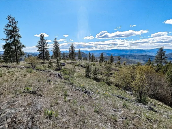 85 Bonanza Drive, Tonasket, WA 98855