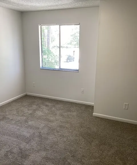 4208 Windergate Dr — Photo 6